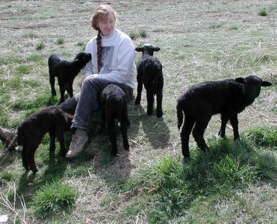 Bonnie with the 2004 bottle lambs