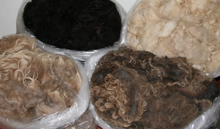 Churro wool in many colors
